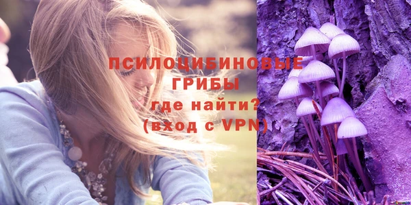 сатива Армянск