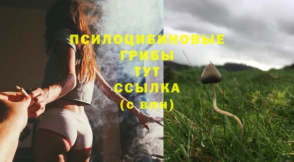 mdpv Алексин
