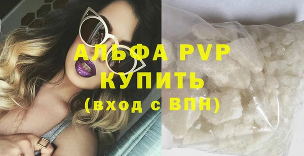 сатива Армянск