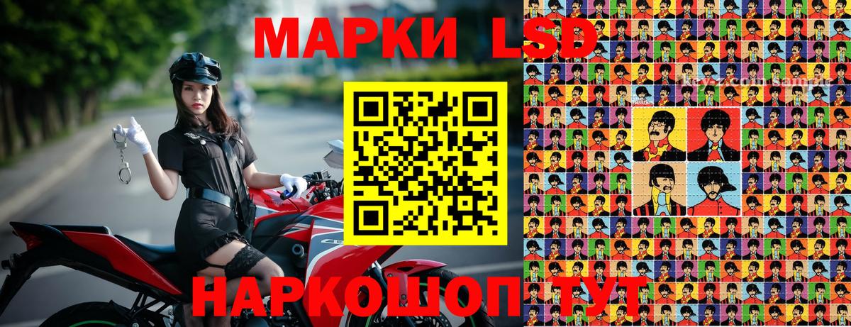 A PVP Сибай