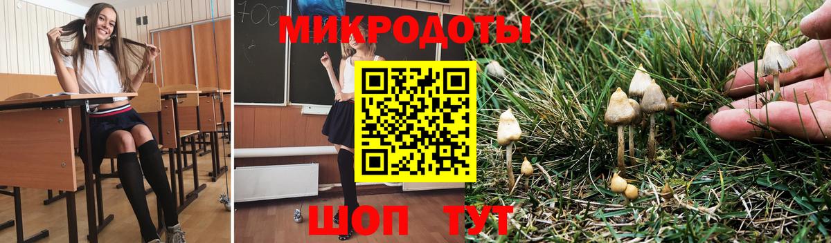 Галлюциногенные грибы MAGIC MUSHROOMS Сибай
